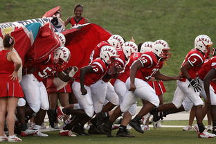 aoa体育账户登录-水晶宫主教练赞誉球队表现，信心满满！